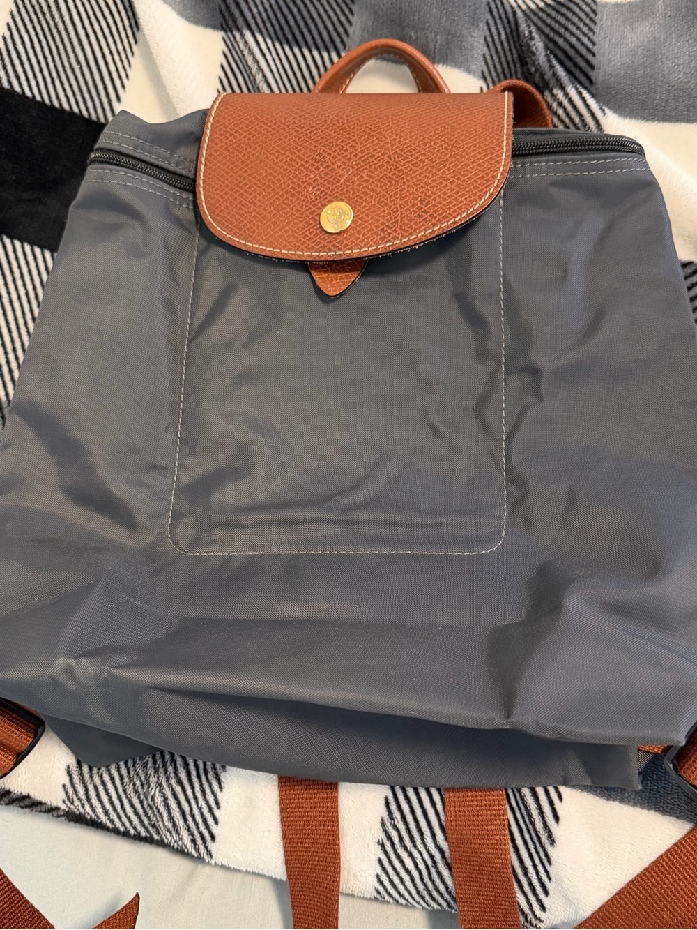 Longchamp Le Pliage Nylon Backpack with Brown Leather Trim